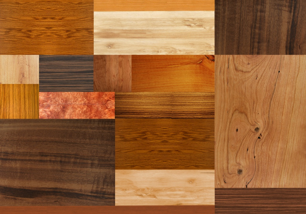 разные породы древесины